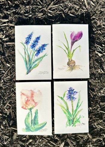 4 Floral Cards Grape Hyacinth, Crocus, Blush Tulip and Virginia Bluebells