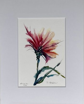 Watercolor red zinnia