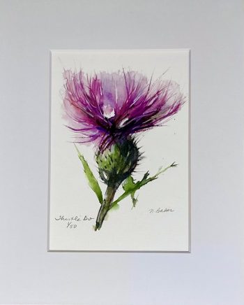 watercolor thistle