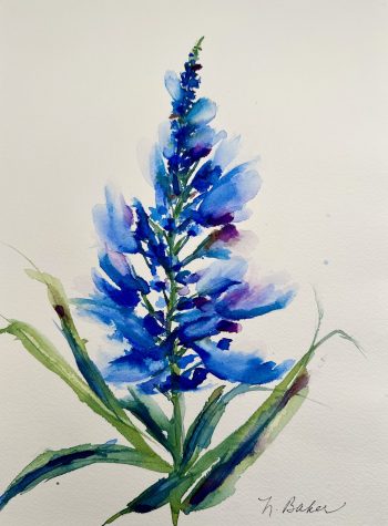 original painting lupine