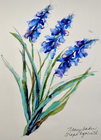 watercolor grape hyacinth