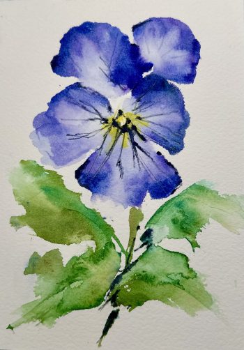 watercolor purple pansy