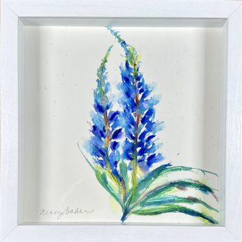Watercolor Lupine in white shadowbox frame